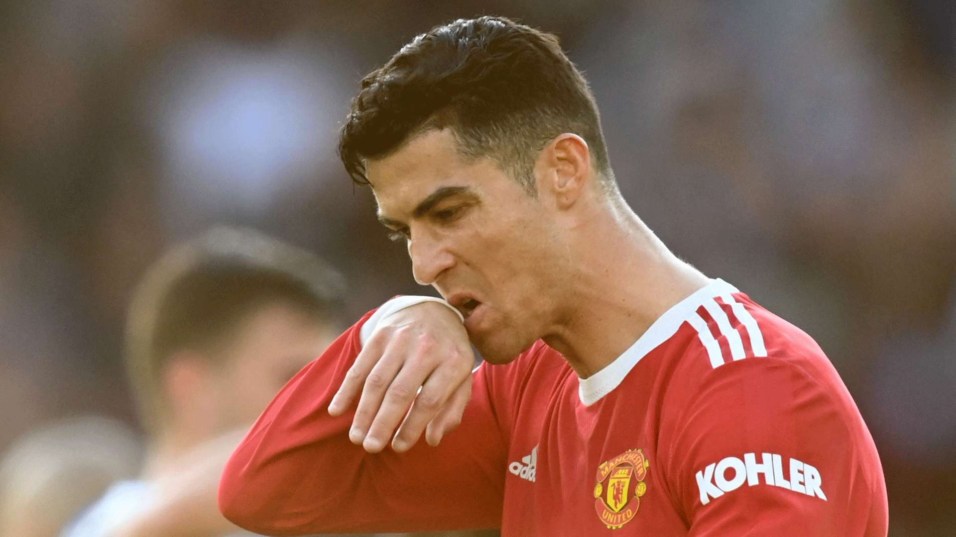 都需要一个 都需要一个